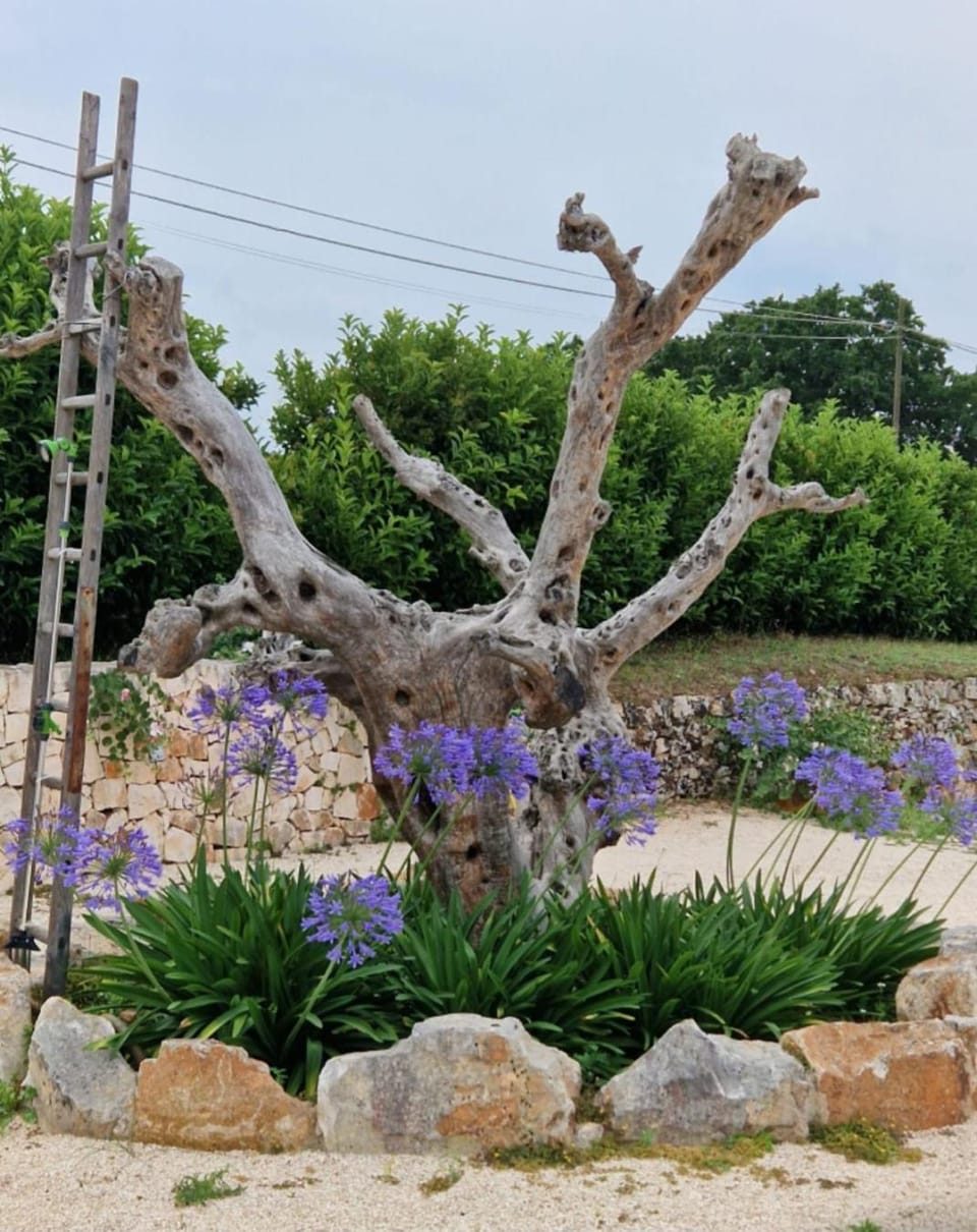 Lamia Nina House in Province of Taranto