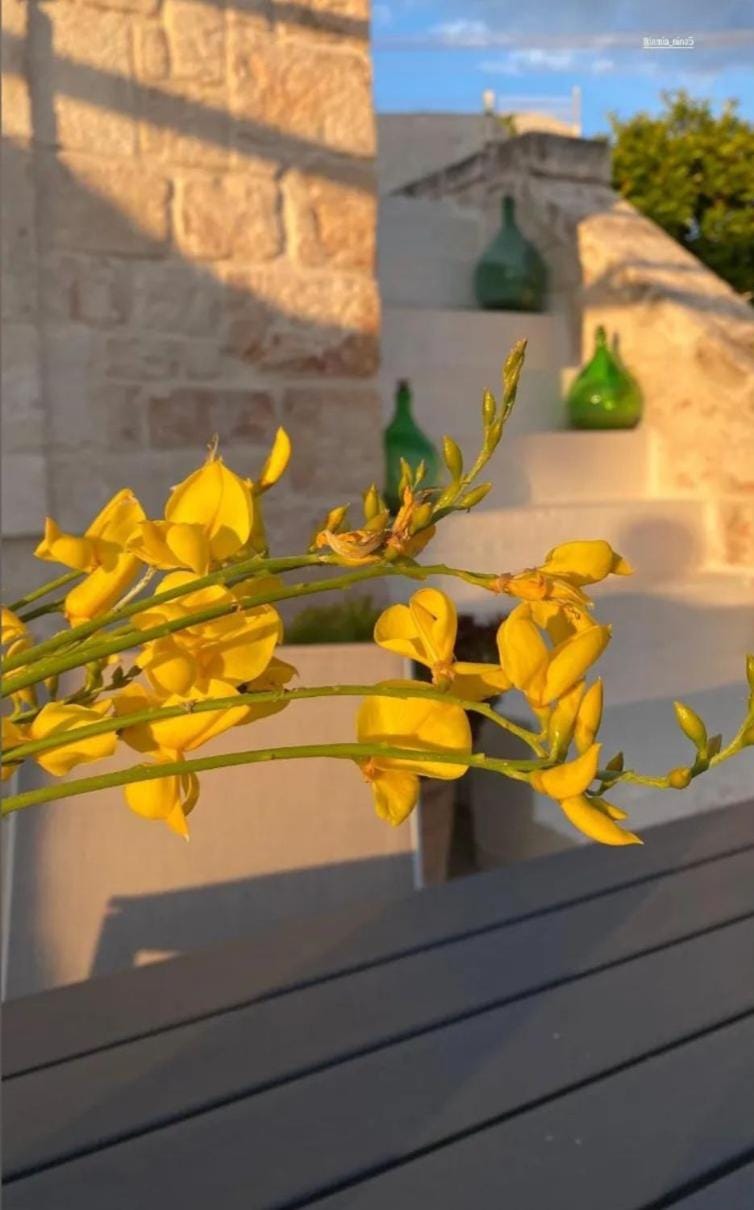 Lamia Nina House in Province of Taranto