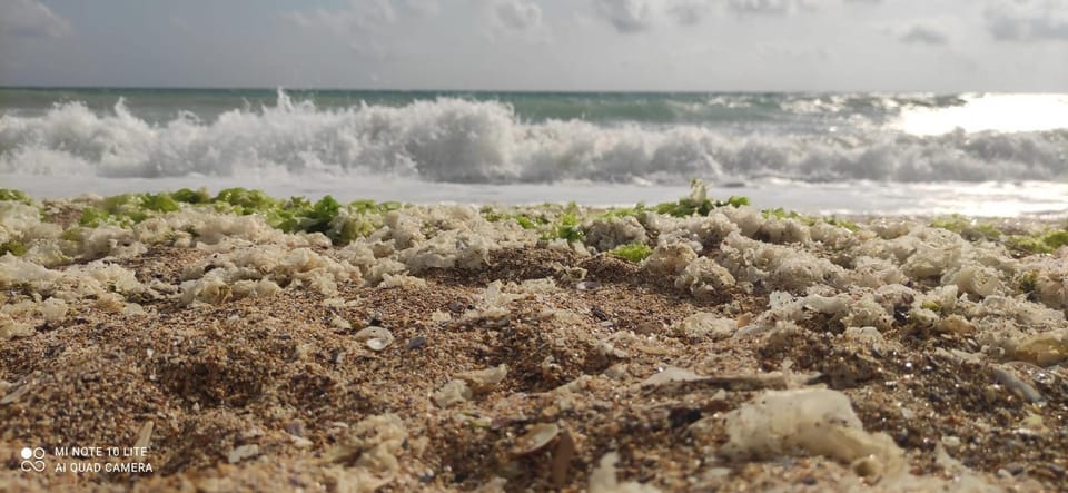 Beach, Sea view