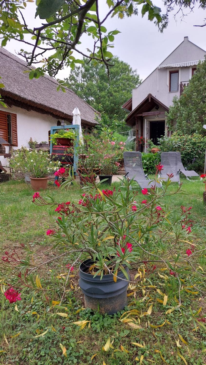 Naplopó-lak Apartment in Hungary