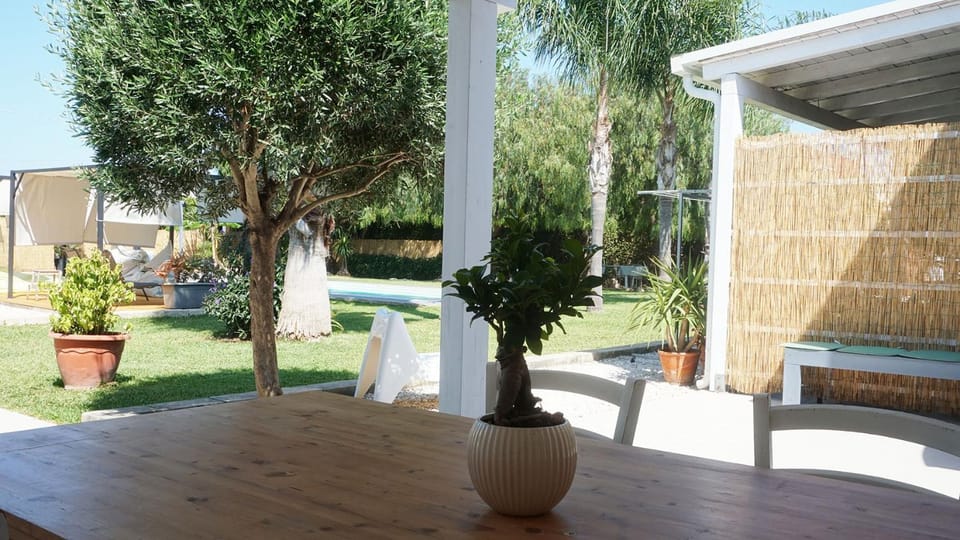 Patio, Garden, Garden view
