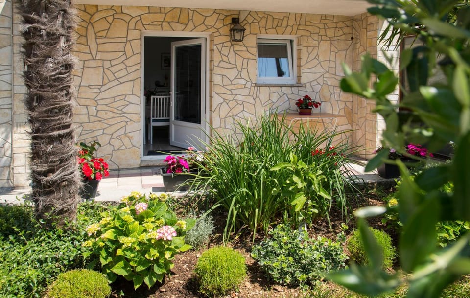 Patio, Facade/entrance, Garden