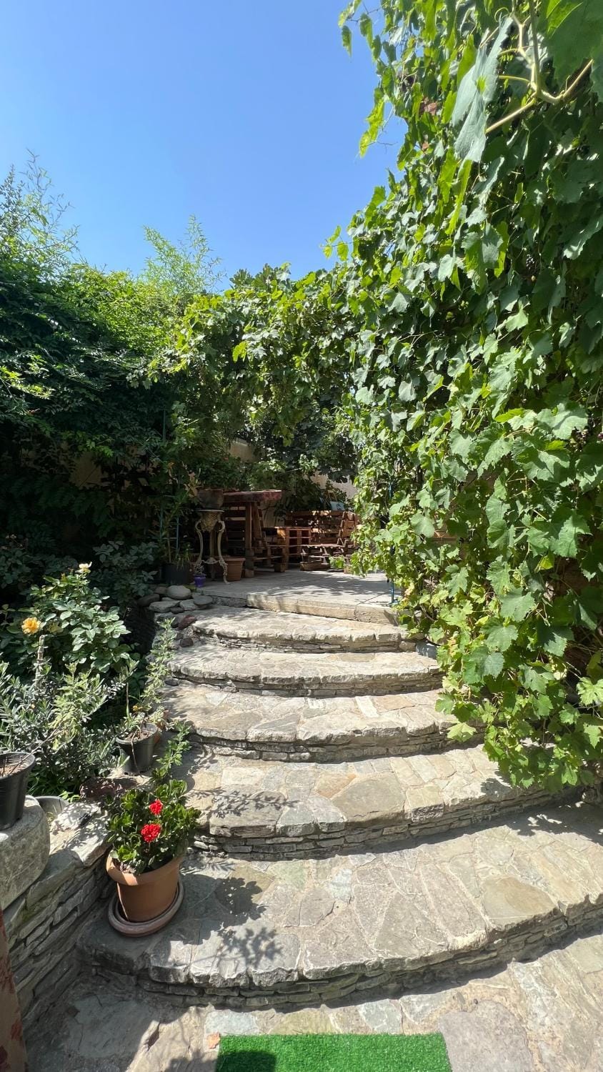 Spring, Day, Garden, Garden view