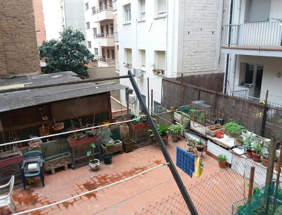 Inner courtyard view
