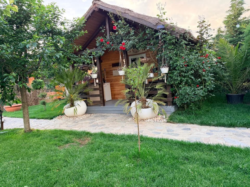 Day, Natural landscape, Garden, Garden view