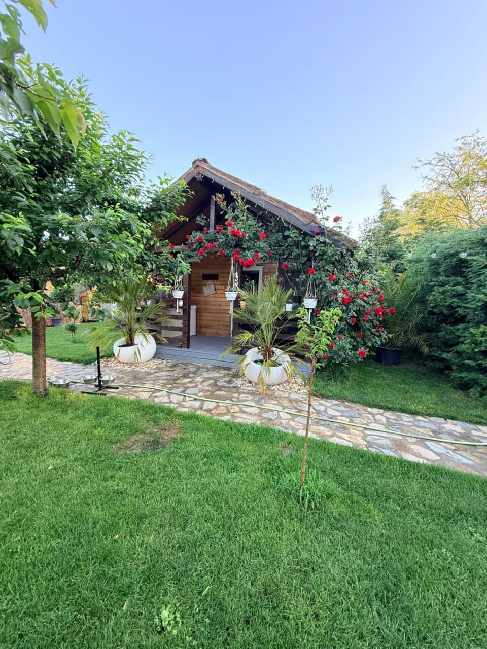 Cabana Sorina Nature lodge in Constanța County