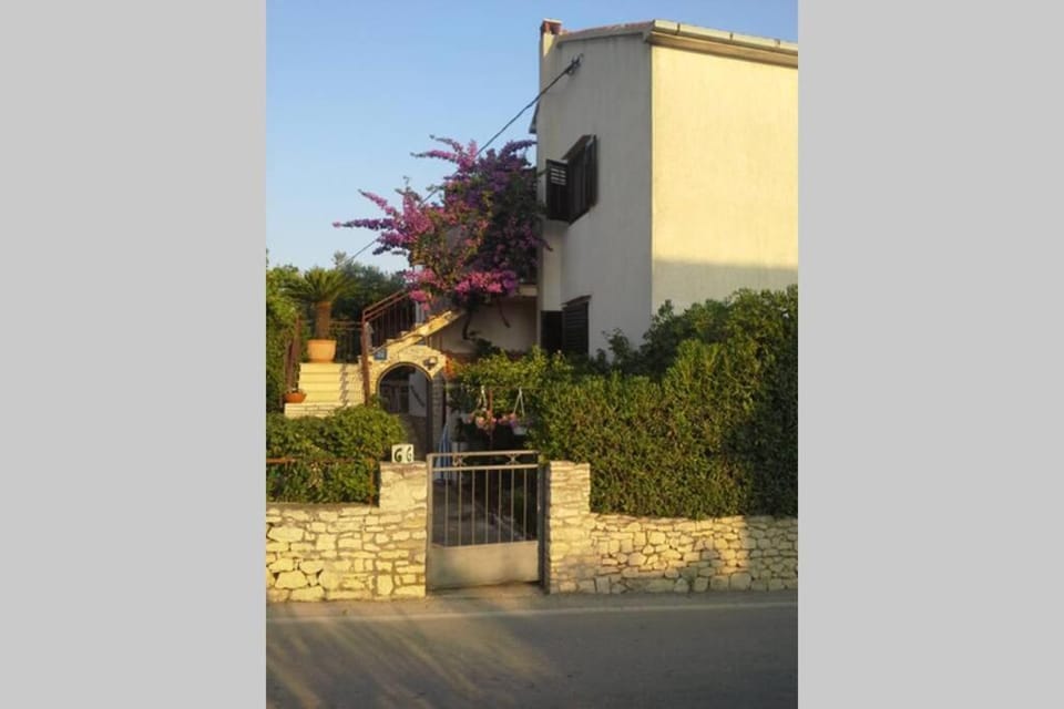 Property building, Garden, Garden view