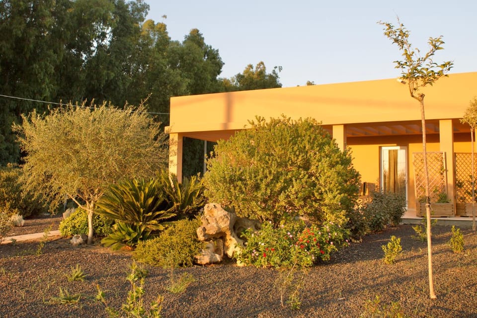 Property building, Garden