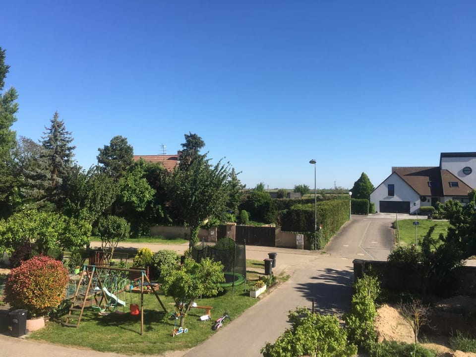 Garden view