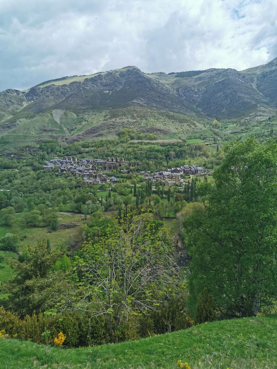 City view