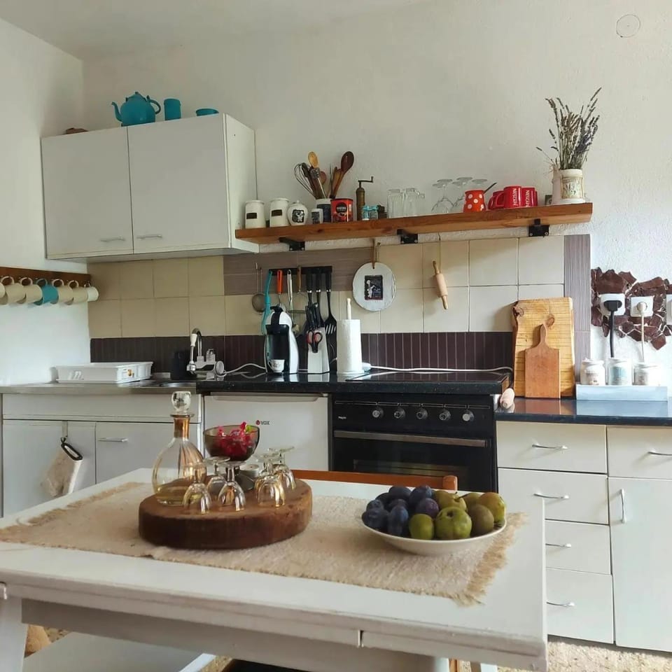 The Vintage House Zlatar House in Zlatibor District, Serbia