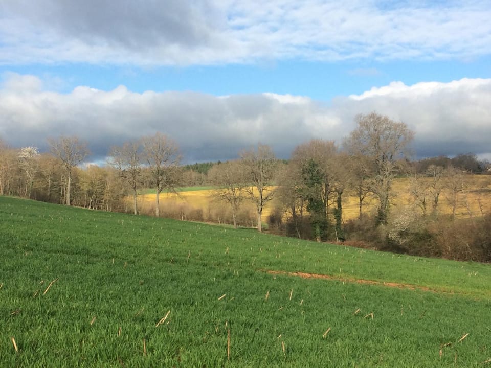 View (from property/room)
