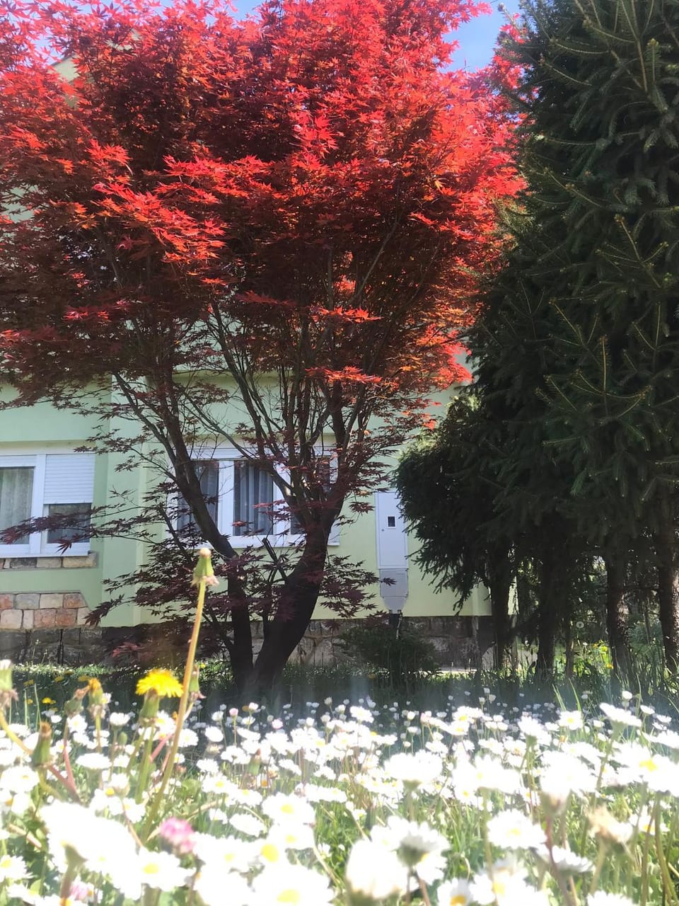 Facade/entrance, Garden view