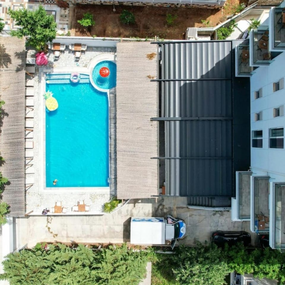 Property building, Pool view, Swimming pool, sunbed