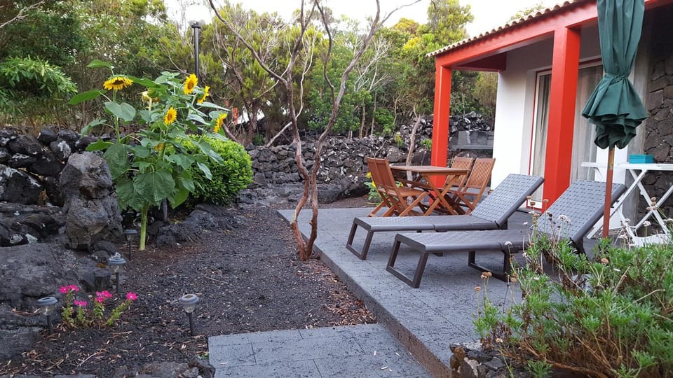 Garden, Garden view