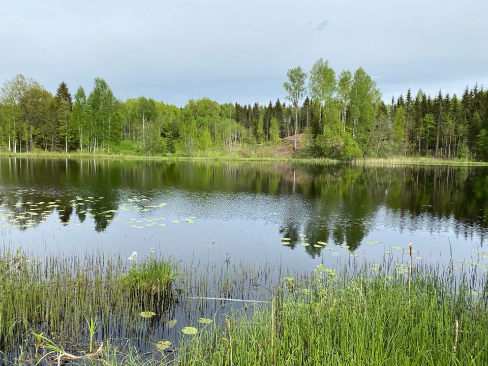 Lake view