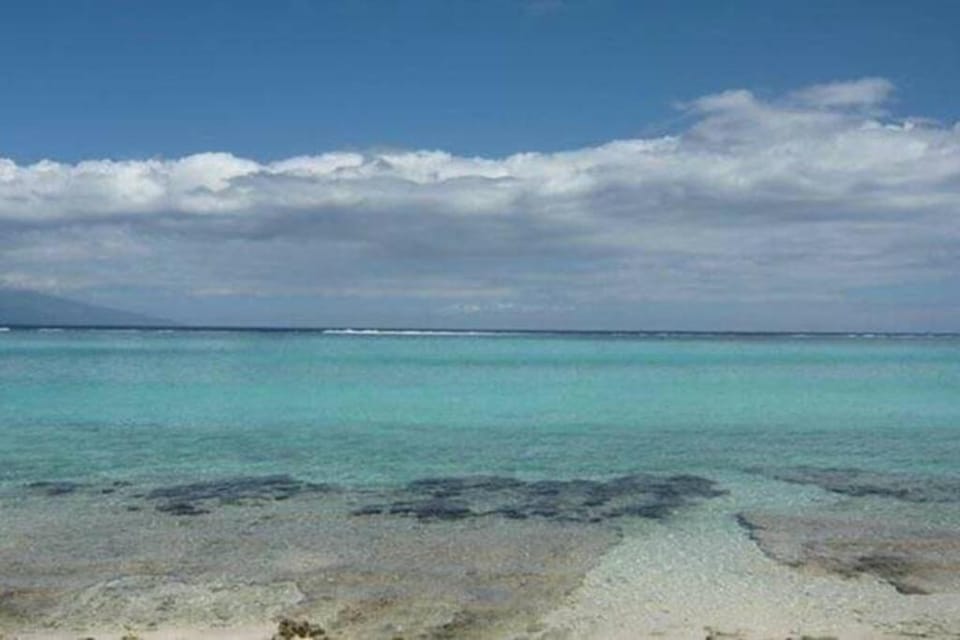 Fare Totara, jardin verdoyant House in Moorea-Maiao