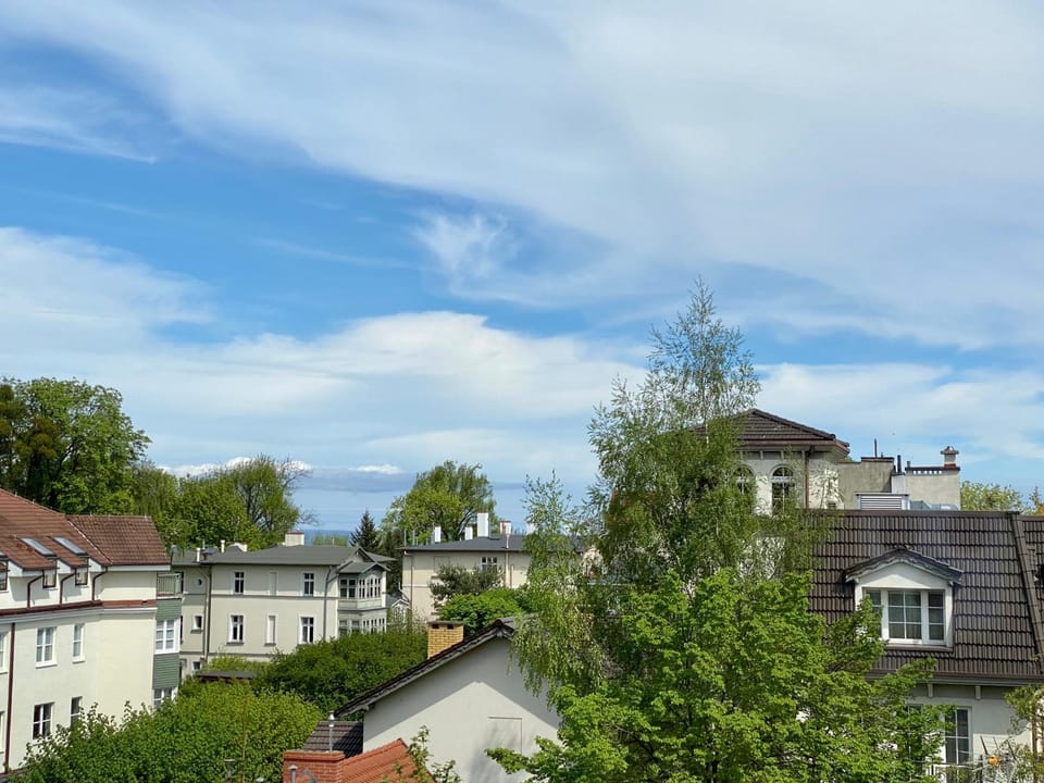 Neighbourhood, City view
