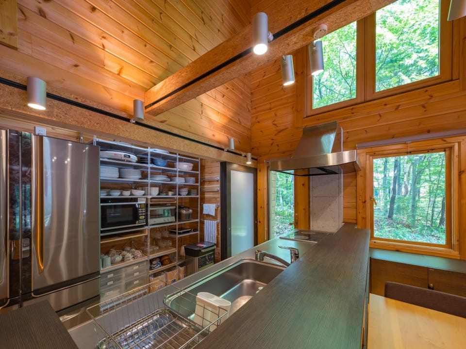 Kitchen or kitchenette, kitchen, kitchen