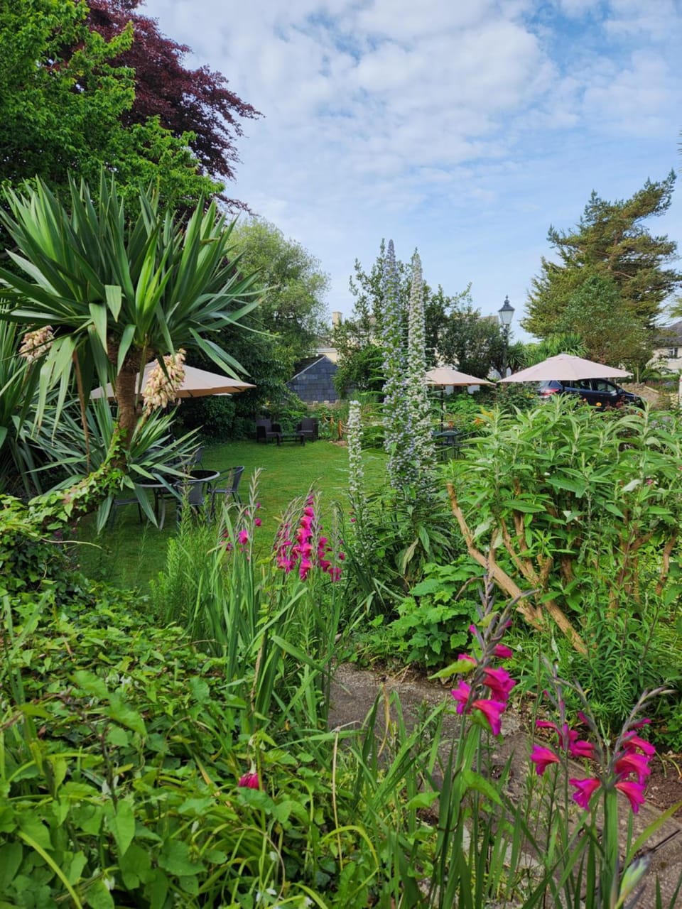 Garden