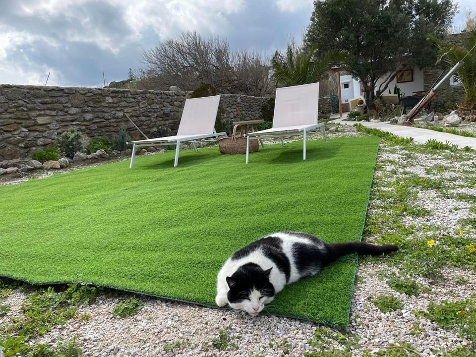 Garden, Pets