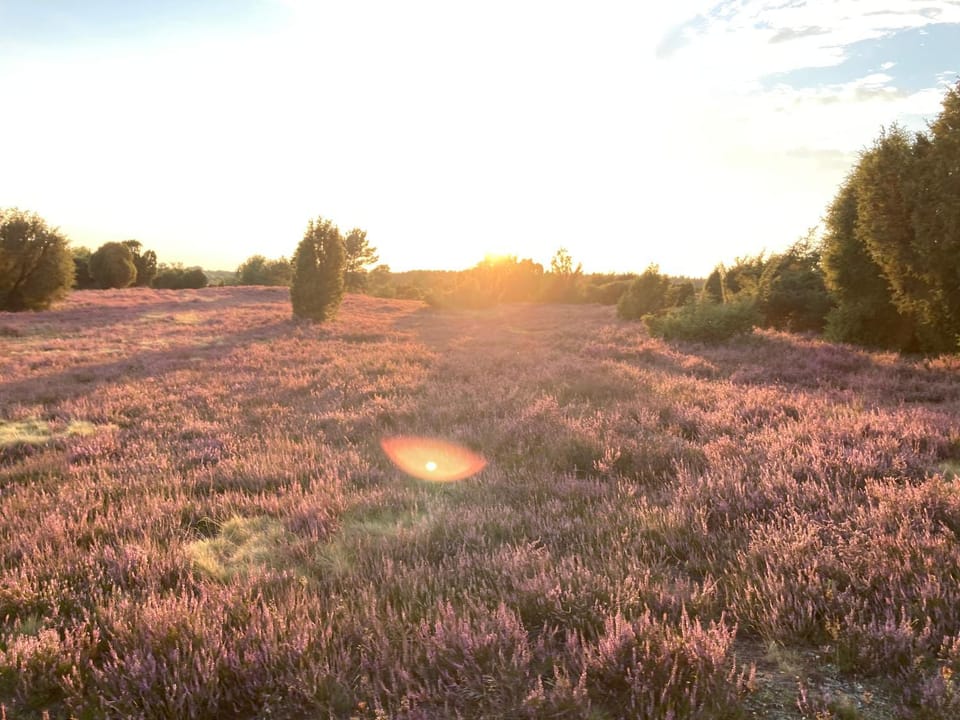 Natural landscape