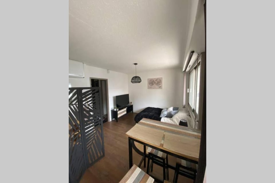 Bed, Kitchen or kitchenette, Living room, Photo of the whole room, Seating area, Dining area, Bedroom