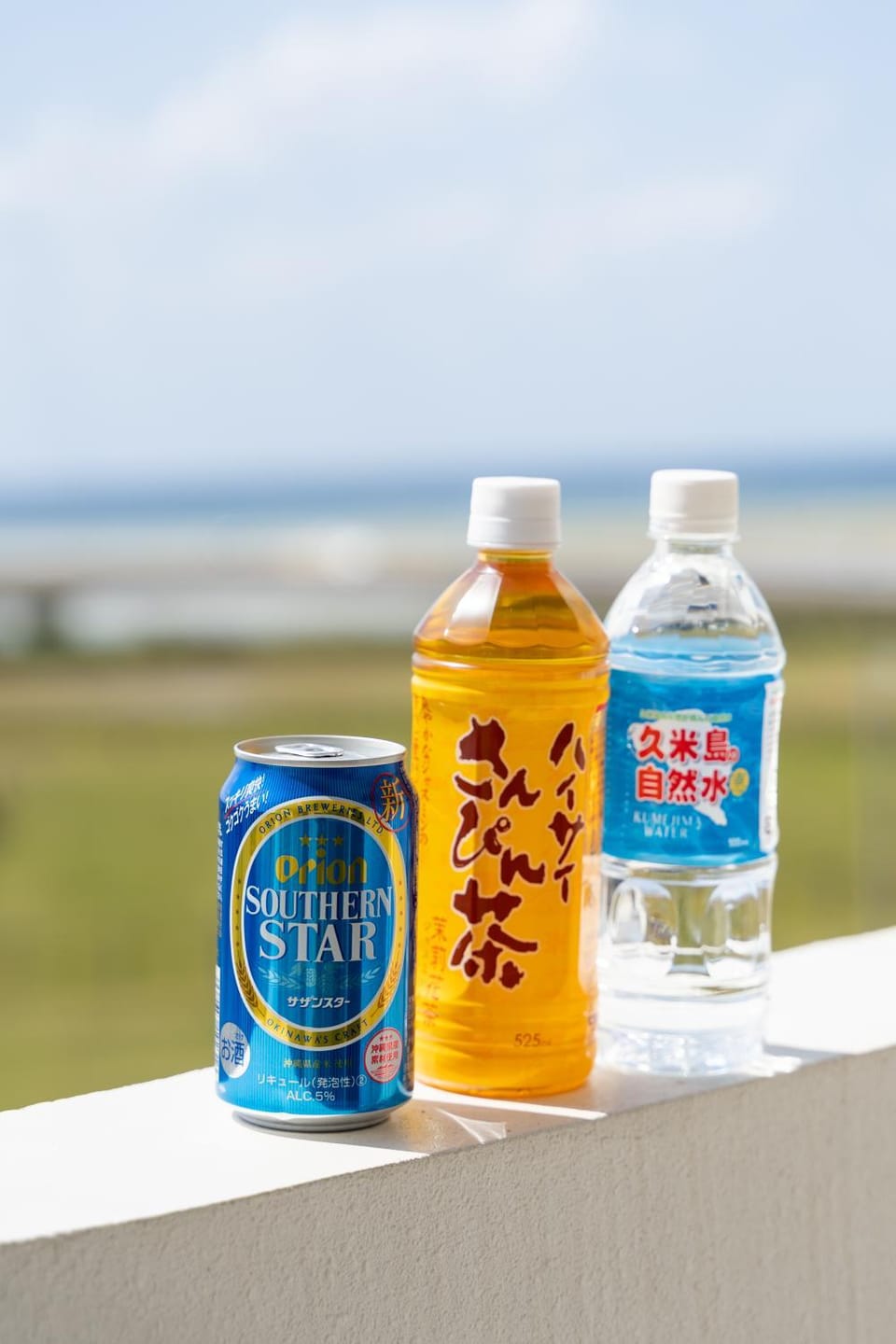 Vent du Vent 402 Apartment in Okinawa Prefecture
