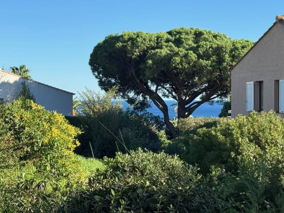 View (from property/room)