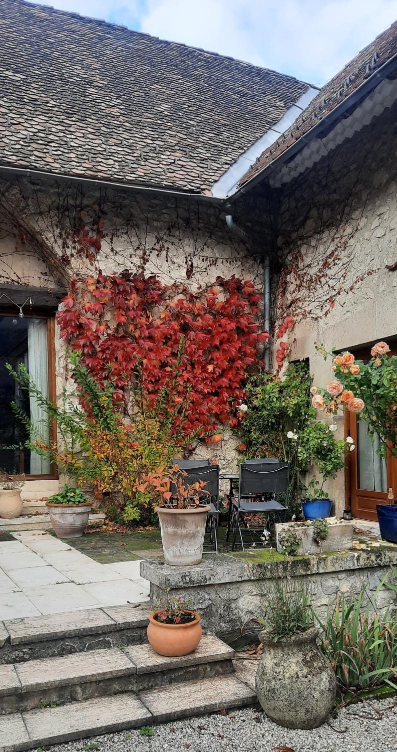 Property building, Patio, Day, Garden view