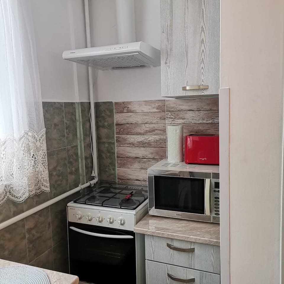 Kitchen or kitchenette, kitchen