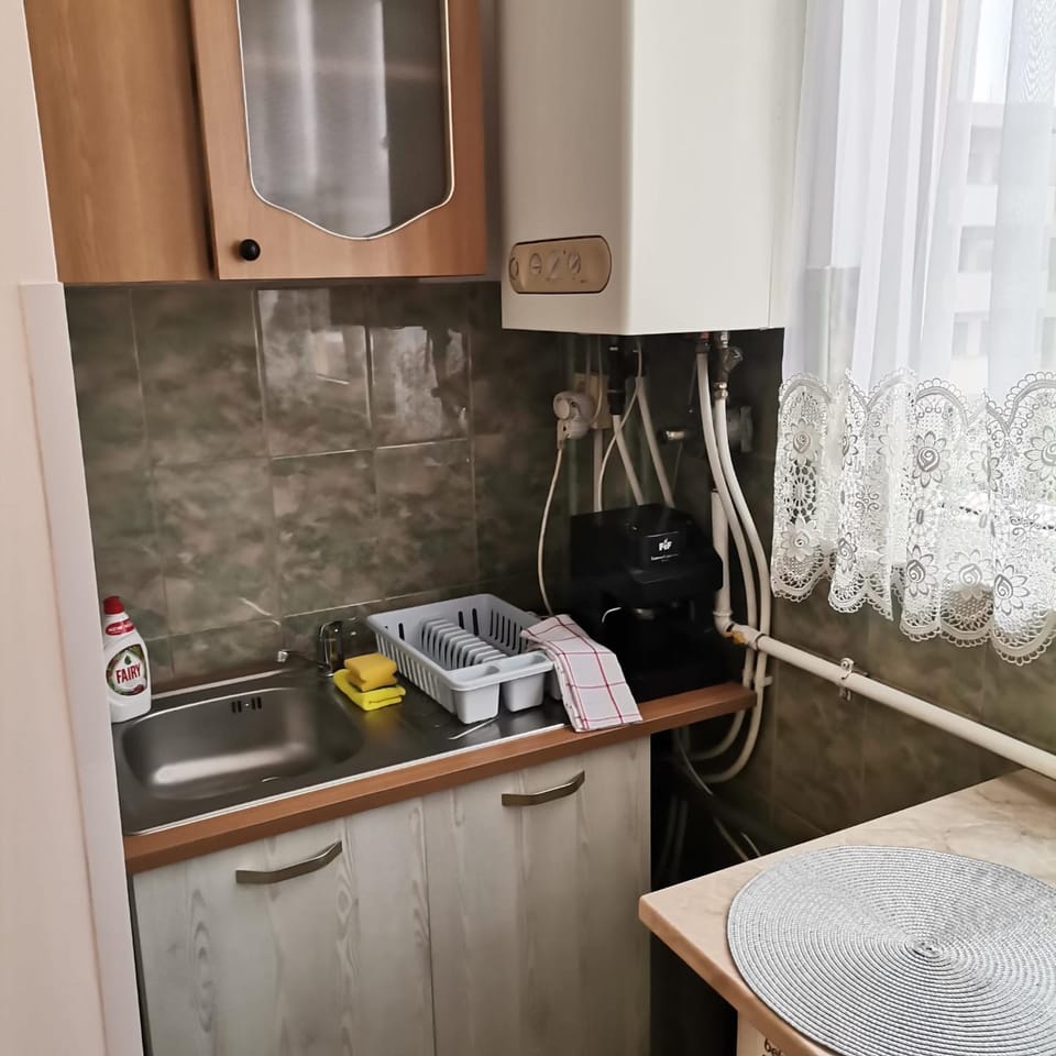 Kitchen or kitchenette, kitchen