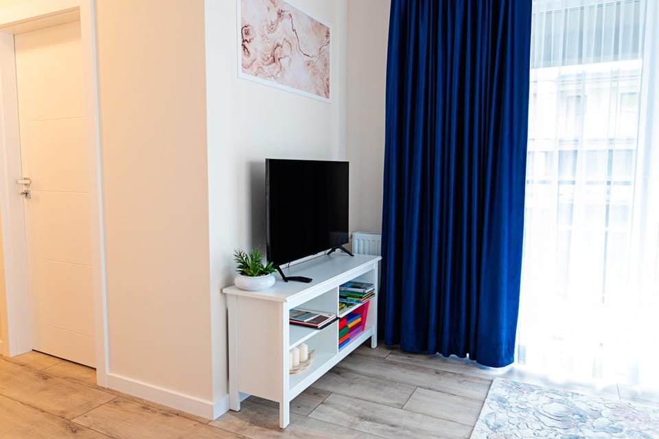 TV and multimedia