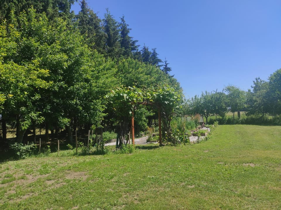 Święty Spokój Farm Stay in Poland
