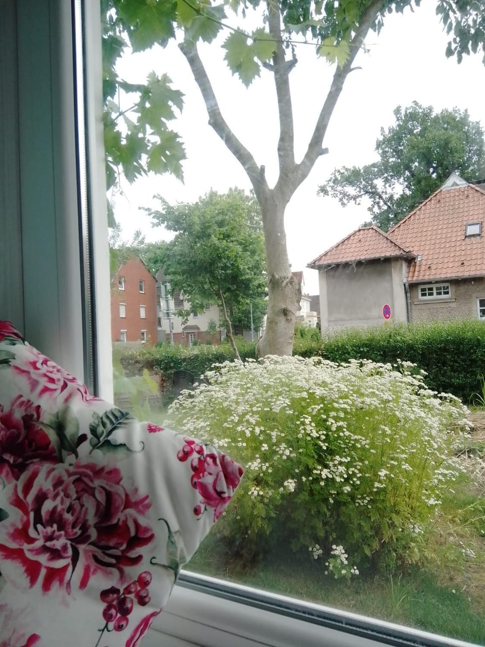 Garden, View (from property/room), Garden view