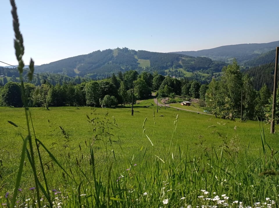 Natural landscape, View (from property/room), Mountain view