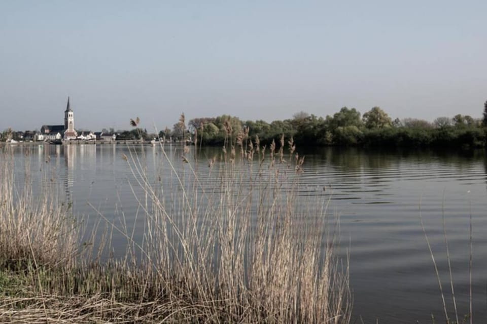 Amand'eau - zwemvijver, zonneterras, grote tuin Apartment in Flanders