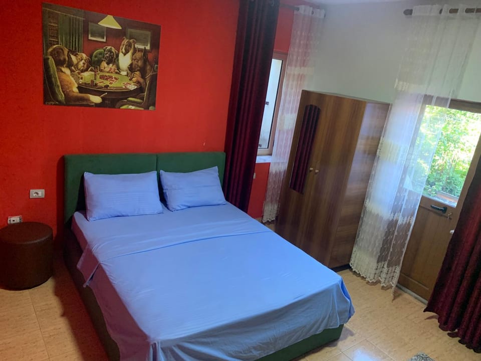 My Hostel - Privates and Dorms Hostel in Montenegro