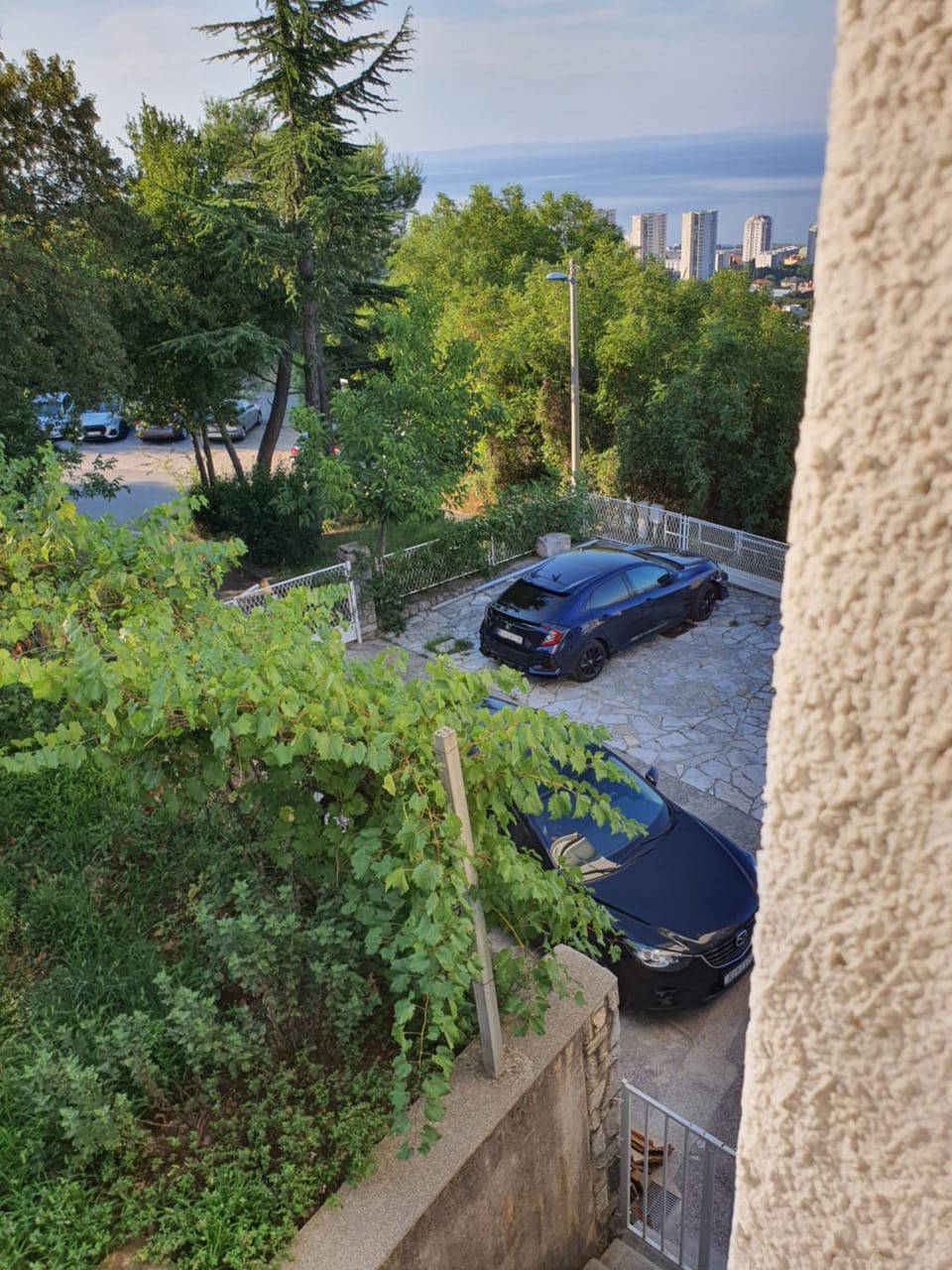 Garden view