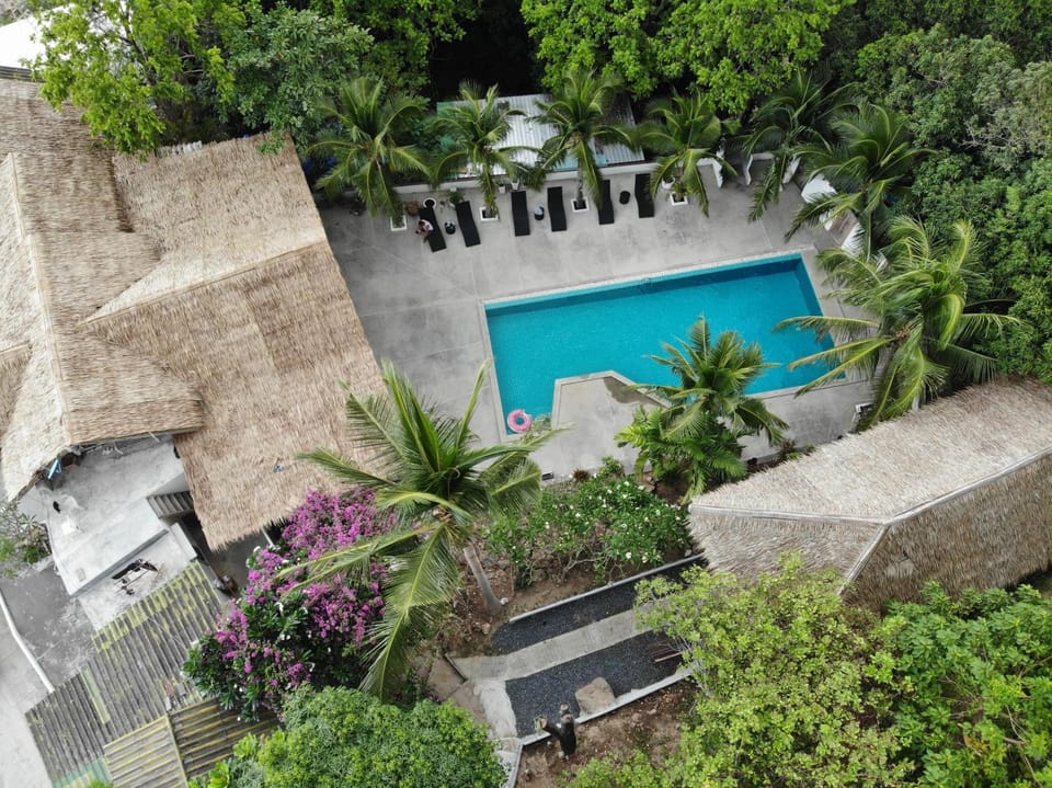 Property building, Garden, Garden view, Pool view, Swimming pool, sunbed
