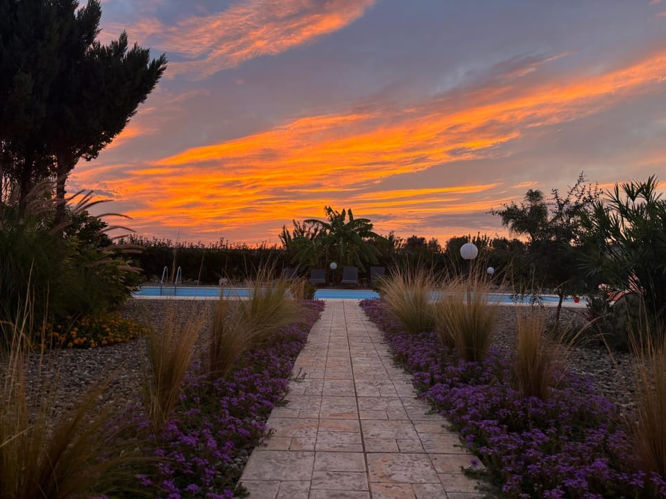 Day, Natural landscape, Garden, Garden view, Pool view, Swimming pool, Sunrise
