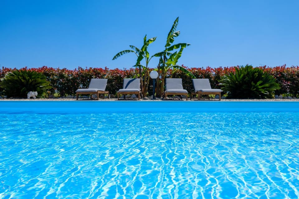Day, Natural landscape, Garden, Garden view, Pool view, Swimming pool, sunbed