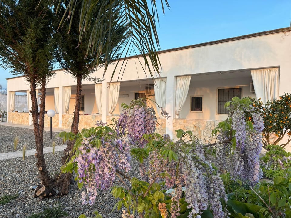 Property building, Day, Garden, Garden view