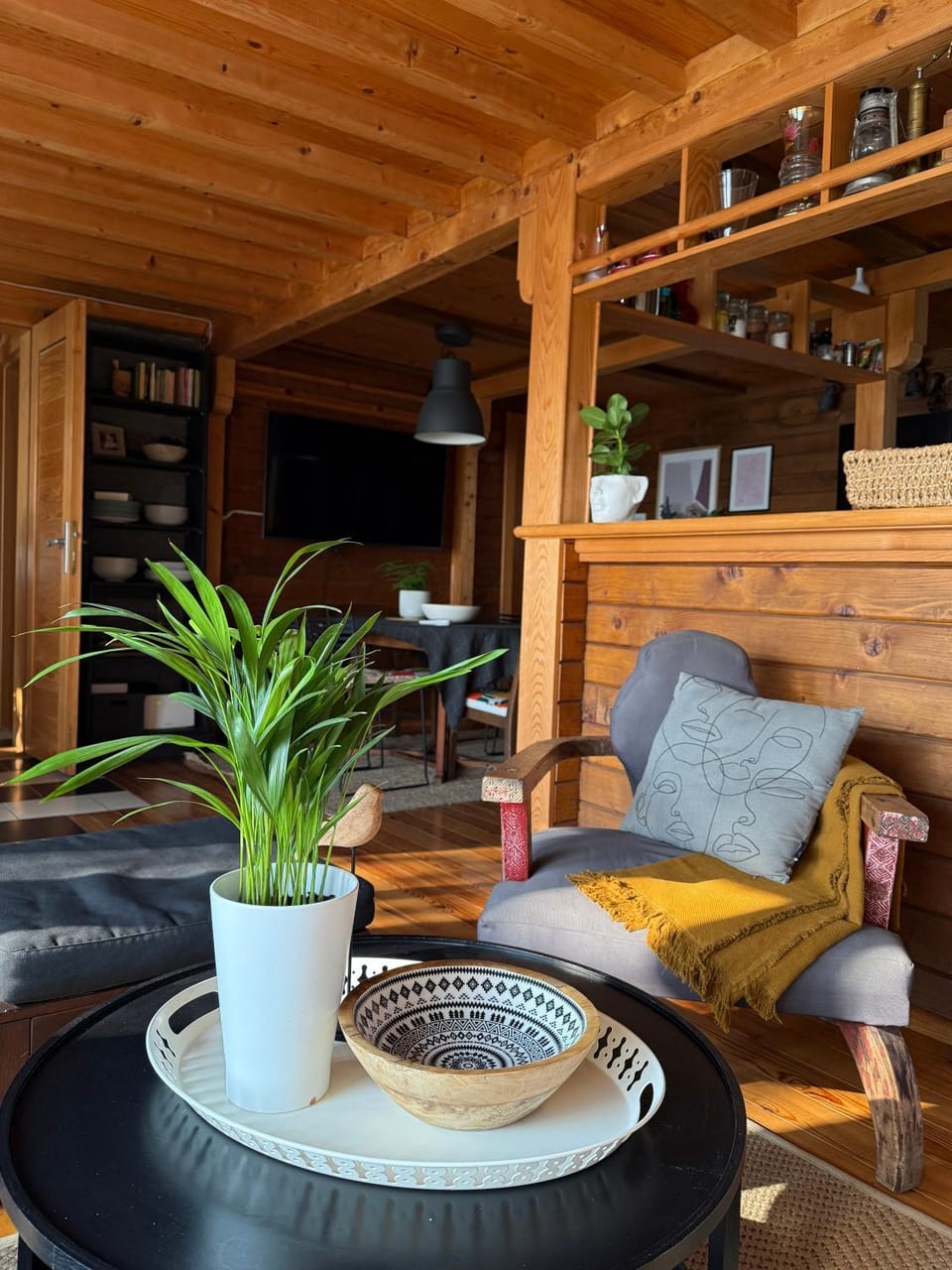 River house Vasa Villa in Belgrade