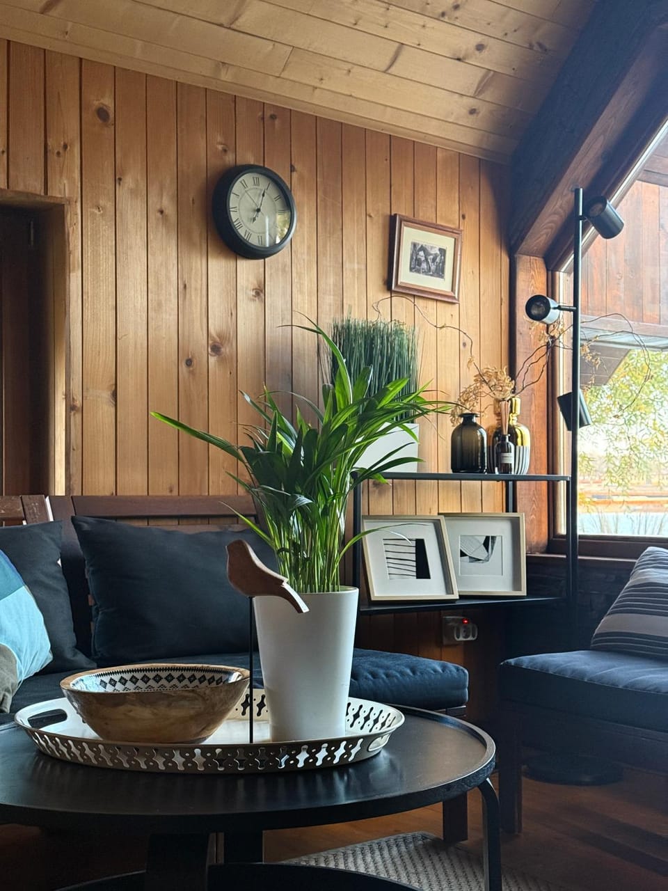 River house Vasa Villa in Belgrade