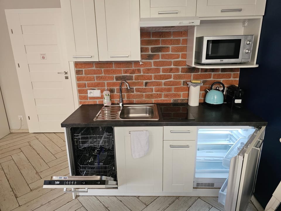 Kitchen or kitchenette, dishwasher, minibar, stove