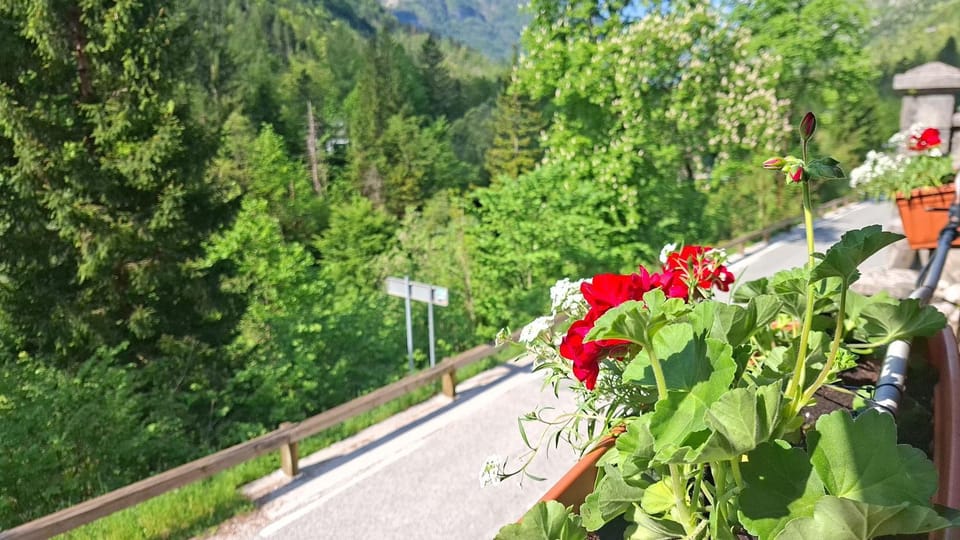 View (from property/room), Mountain view, River view