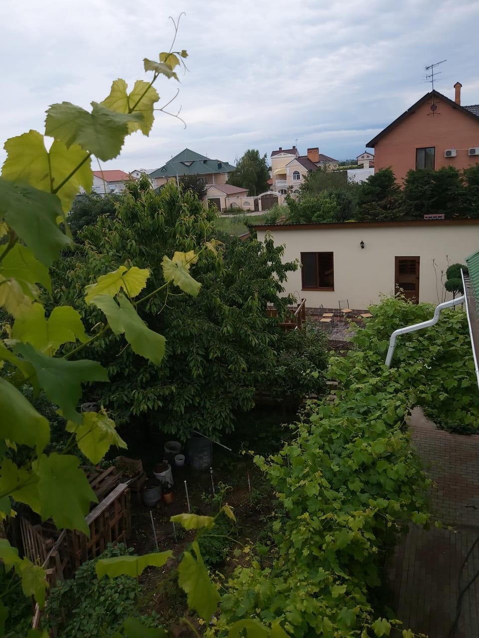 Гостевой дом Вилла Босфор Bed and Breakfast in Odessa Oblast