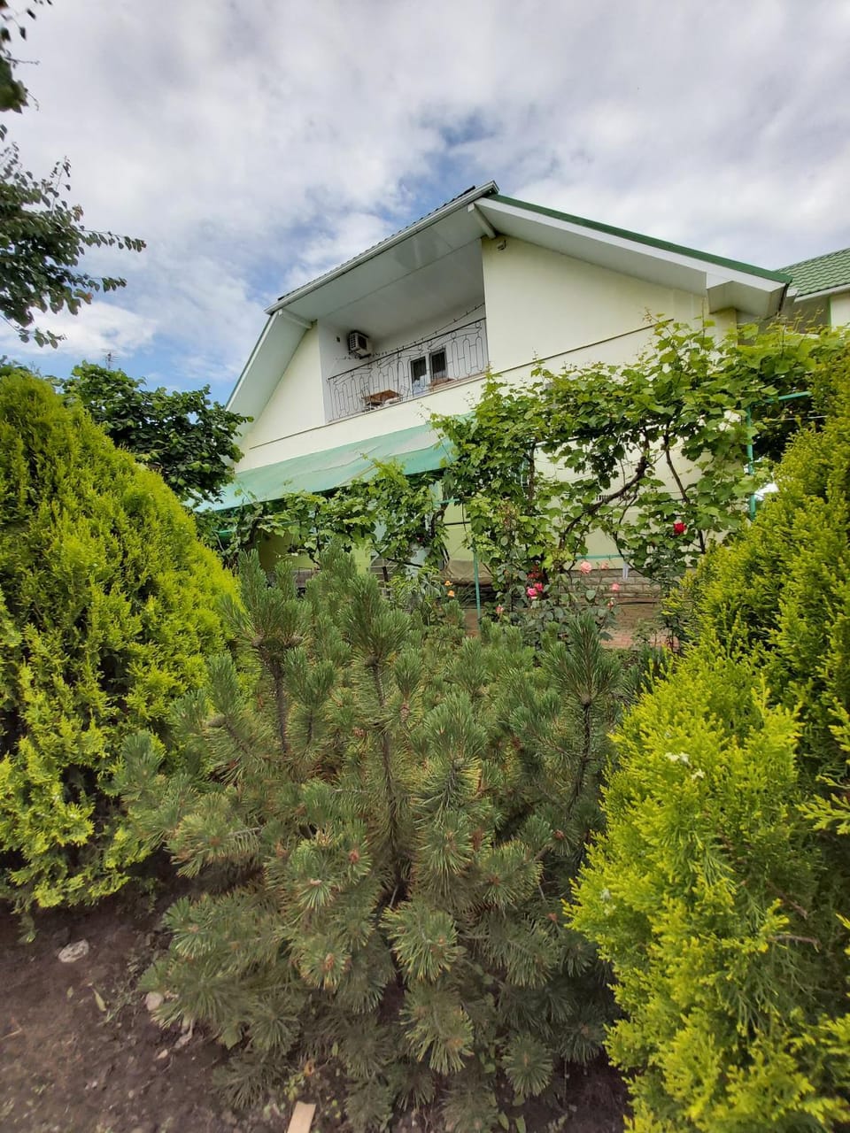 Гостевой дом Вилла Босфор Bed and Breakfast in Odessa Oblast