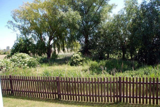 Aal Apartment in Mecklenburg-Vorpommern, Germany